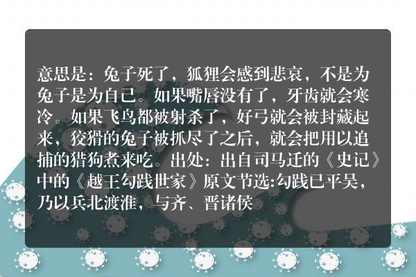 《兔死狐悲,唇亡齿寒,飞鸟尽,良弓藏。狡兔死,走狗烹》是什么意思