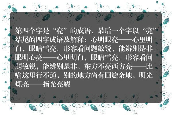 亮字结尾的成语